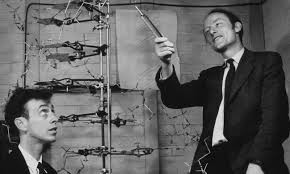 The Human Genome Project: Your Blueprint, Decoded | UNBedside Manners