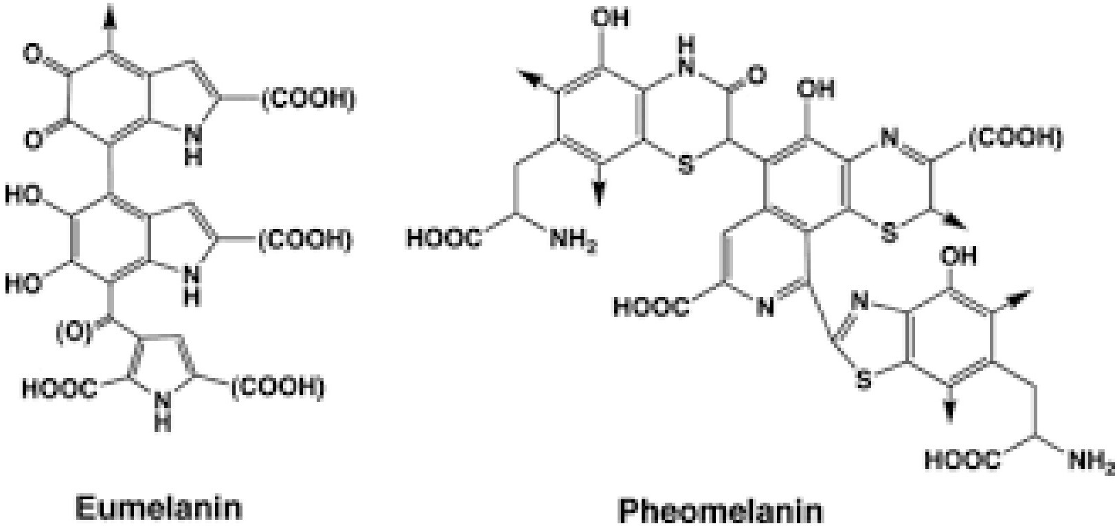 melanotan-ii-the-peptide-that-turned-a-white-woman-black-unbedside